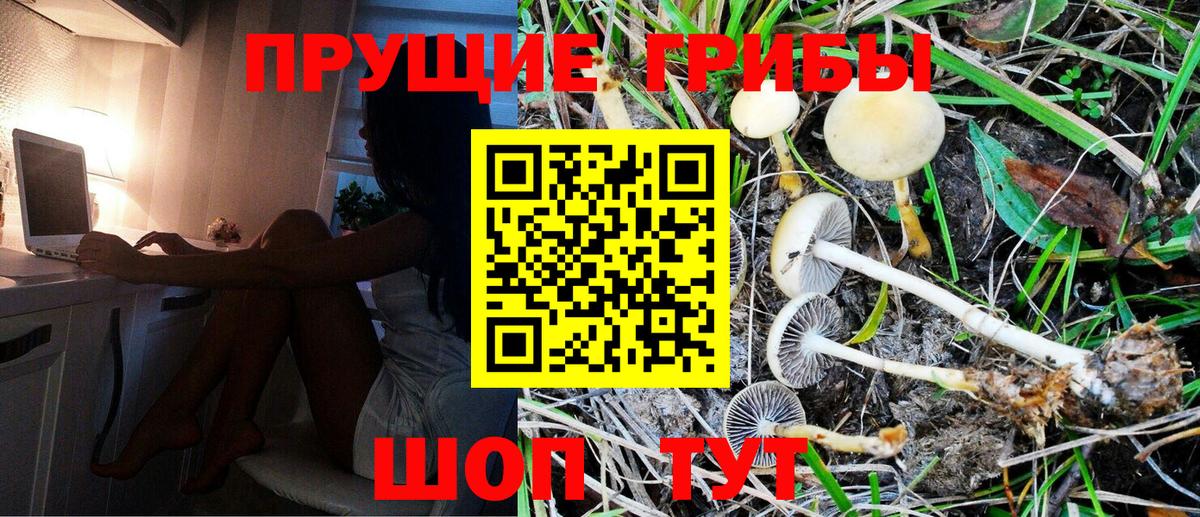 Псилоцибиновые грибы GOLDEN TEACHER Пушкино